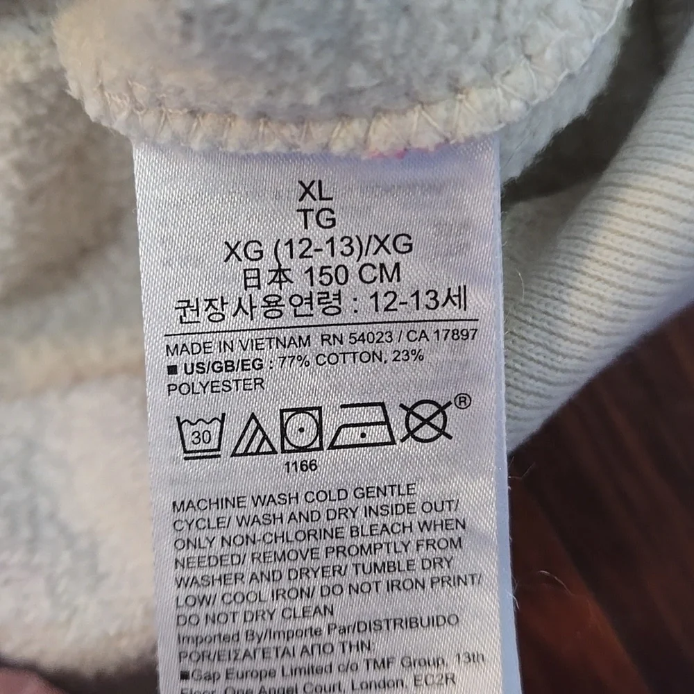 GAP Kids Floral Hoodie Cream Pink Cozy Sweatshirt Size 12 XL